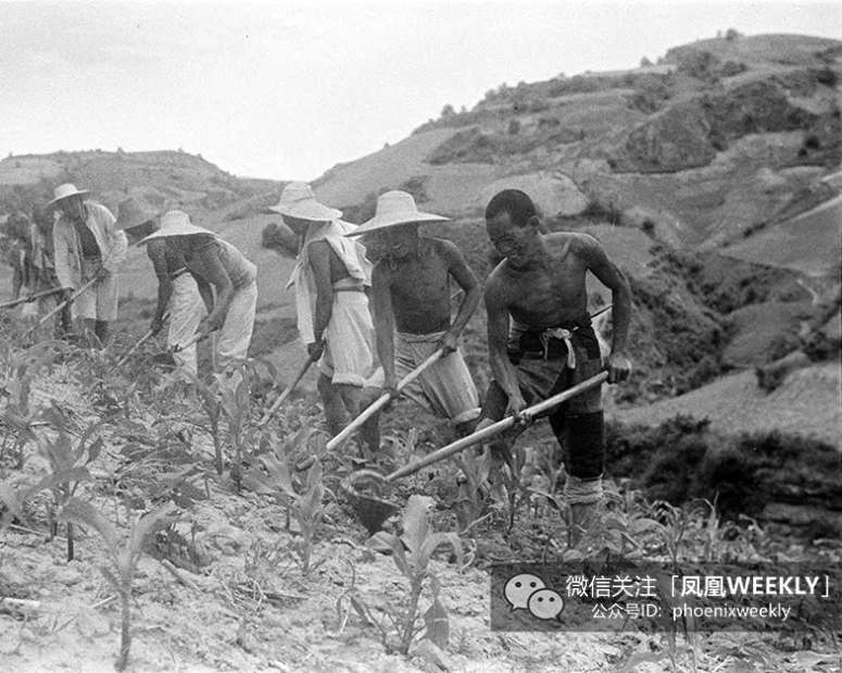 1944年,哈里森·福尔曼在陕北拍摄的农民耕作的影像